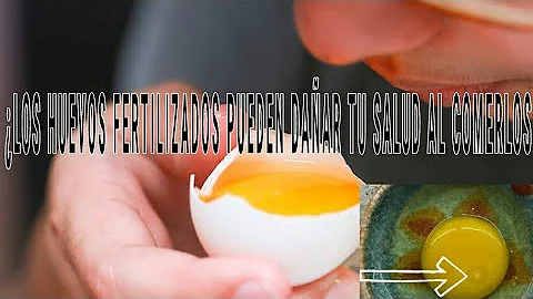 ¿Comemos huevos fecundados?