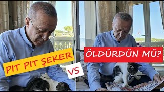 Erdoğan : Pıt Pıt Şeker Vs Öldürdün Mü