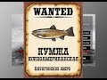 Ловим мутантов в РР3. Кумжа южноамериканская.