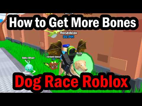 How to Get More Bones in Dog Race Roblox