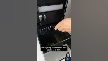 Nâng cấp cửa thoát nước cho bể cá thông minh thêm bộ lọc và xả nước dàn mưa #aquarium #shorts