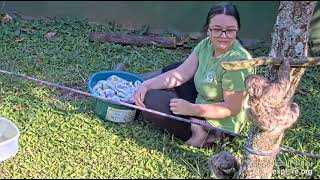 Miss Nazareth helps rescued baby sloth Robin with his climbing!  TOO CUTE!!  Recorded:  03/25/23