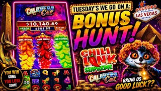 BONUS HUNT! Can Calavera Cat Bring Us the Chili Bonus?! | “You Win Some, You Lose Some.”