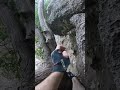 Climbing Through a Tree portrait