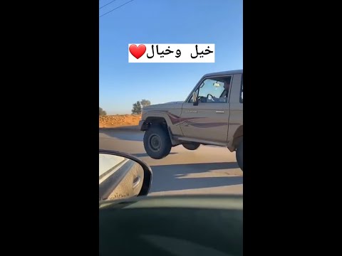 قوه الربع  خيل