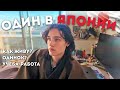 Жизнь в Японии изнутри | Одиночество · Работа · Учёба
