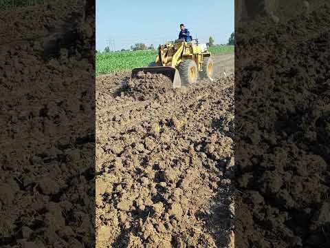 قوة لودر 815 في تجريف الشرب من الارض الزراعيه