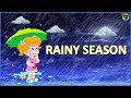 Rainy Season Quiz