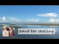 Kayak Shell Tour 10,000 Islands Florida. Exploring sand bars for shells, sand dollars and treasures!