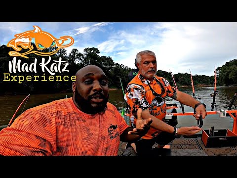 MAD KATZ Outdoors (BIG FLATHEAD CATFISH) 