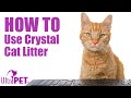 Howtouse nonclumping crystal cat litter