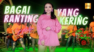 Syahiba Saufa - Bagai Ranting Yang Kering (Official Live Music)