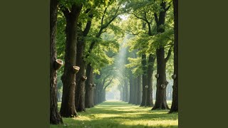 Sedih Mimpi Sepi Sinar