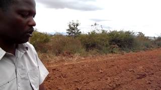 Mkulima Young Champions - Young couple who ventured into intensive farming in Machakos County