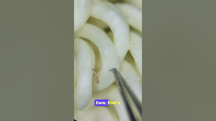 Ramen Under the Microscope: Hidden Bugs Exposed!