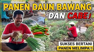 The Beauty Of Farming On Tidal Land