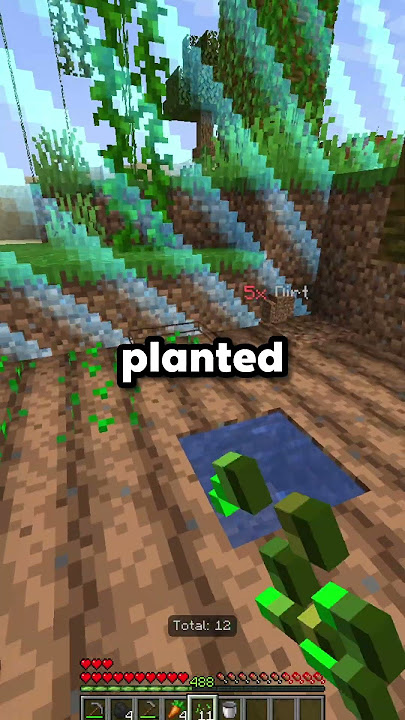 Surviving Minecraft with Only a SINGLE CHUNK...