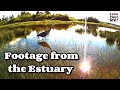 *Nature Break* Footage from the Estuary below our RV Site