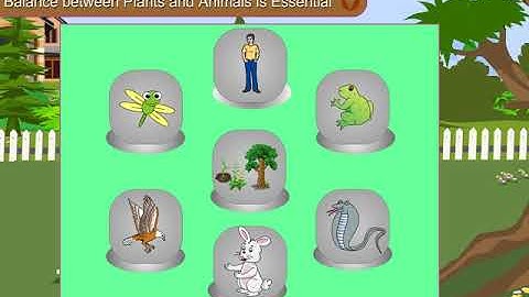 Incredible Science Class 5 - Chapter 5 - Page 57