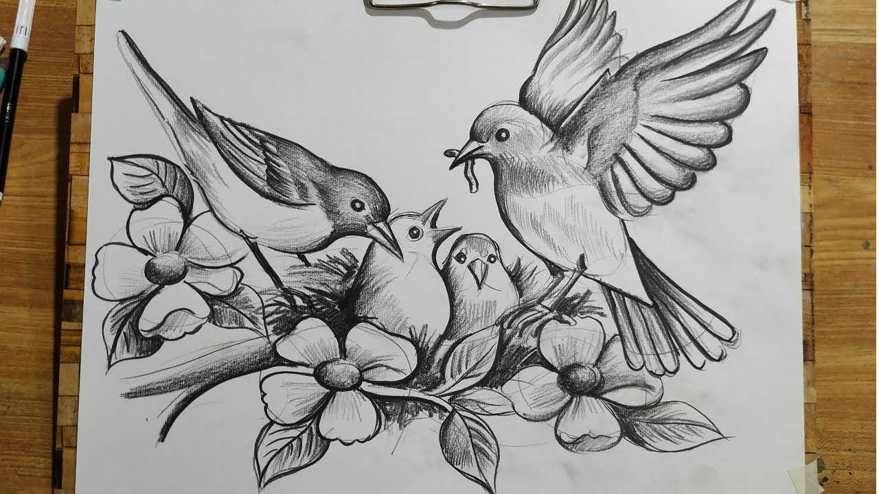 HOW TO DRAW BIRD FAMILY,BIRD AND FLOWERS DRAWING WITH PENCIL ...