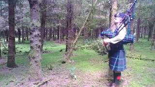 Piper Plays Flowers Of The Forest