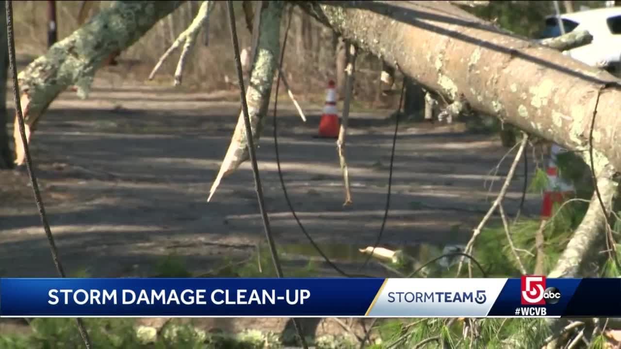 Crews work to restore power after storm downs trees - YouTube