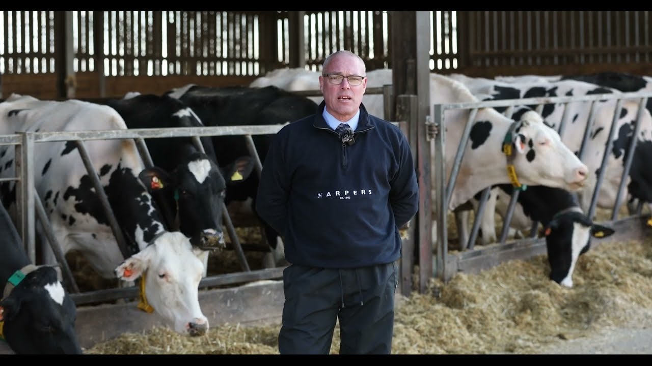 Harper Feeds Forage Meeting