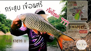 กระสูบเขื่อนศรีนครินทร์ ไซส์นี้หายาก กัดดุจริงโหดจริง #hampala #tonga #zaiewfishing