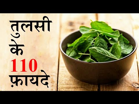 तुलसी के फायदे || Benefits of Tulsi by Puneet Biseria || the best immunity booster