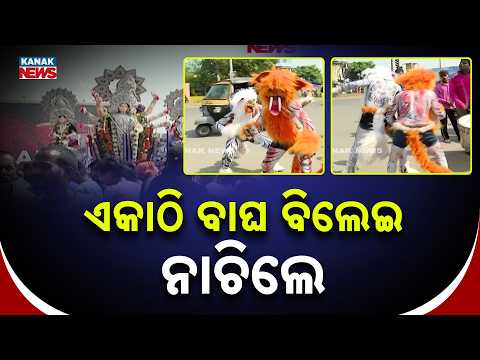 ମାଆଙ୍କ ସାହି ପରିକ୍ରମା, Unique Bagha Bilei Dance In Bhasani | Devi Durga Sahi Parikrama