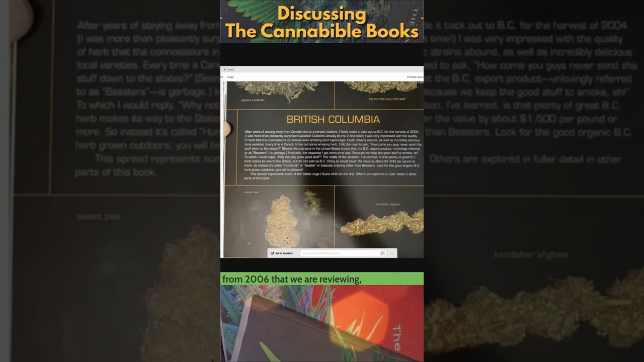 Reefer Man Blueberry Sativas, British Columbia Afghani Bullrider, & Krush!