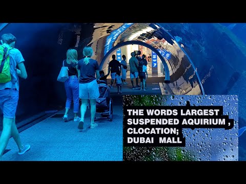 Dubai Mall Aquarium, underwater zoo 4k