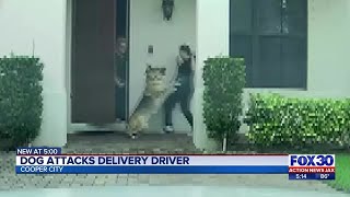 Dog attacks delivery driver