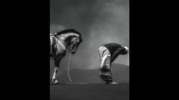 الشيخ محمد الوكيل تلاوة ابداعية _ارح سمعك وقلبك _من سورة الحاقة #قرآن