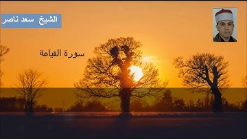 الشيخ سعد ناصر | سورة القيامة | القرآن الكريم