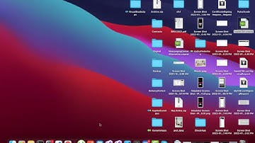Brain Tree Apple In App Payment CSR Xamarin Configuration with Visual Studio