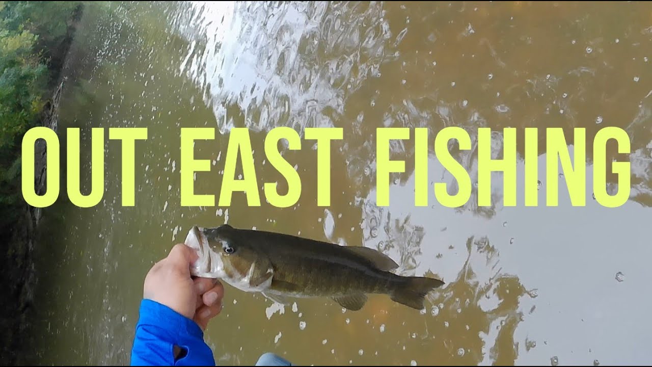 Middle Tennessee CREEK TOPWATER BASS Fishing