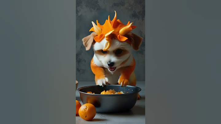 Cutest halloween videos