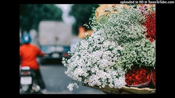 Báo Thức Quân Đội Remix 2