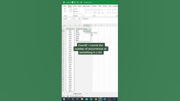 Microsoft Excel: Count the number of occurrences of unique items #excel #exceltips #exceltricks