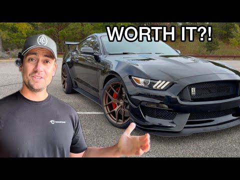 Should you buy a Shelby GT350 in 2025/2026?🤔