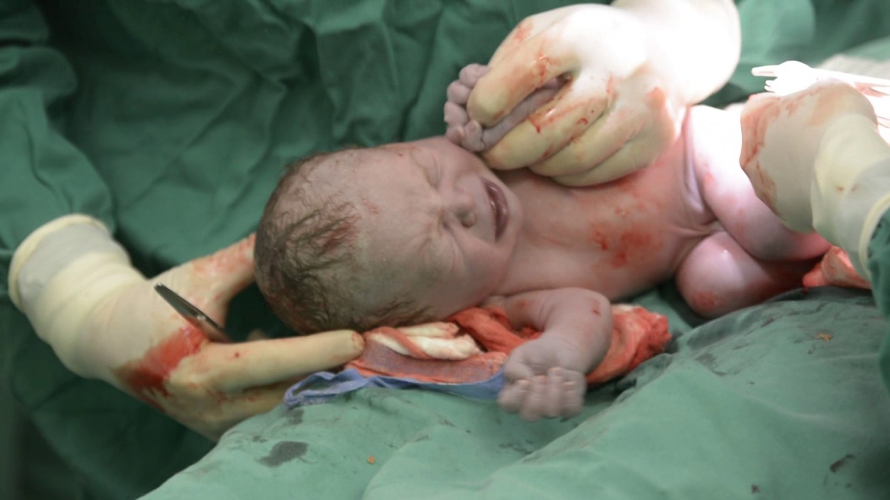 O VIDEO MAIS EMOCIONANTE QUE VOCÊ VAI VER HOJE 