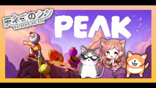 【PEAKコラボ】シンもち、べるまみさんによる山登り　 [Vtuber] 灰ネコのシン