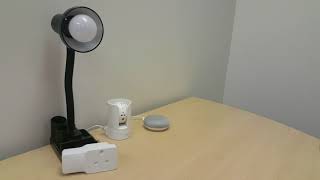 Google Home Mini Working With Our Starvedia Z-Wave Controller.