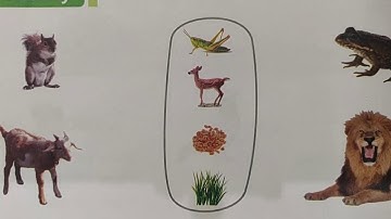 Class 1,Term 3 Subject EVS, Chapter 3, Lecture  1