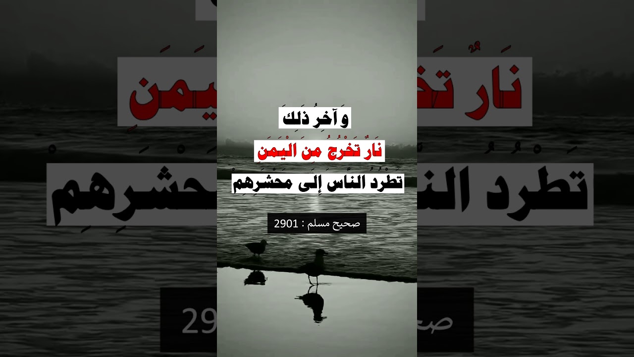 عشر آيات قبل السّاعة - الشيخ عبد الرزاق البدر