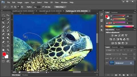 Adobe Photoshop Selections Part 5: - Adding and Subtracting