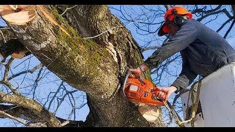 10 DANGEROUS Idiots Tree Felling Fails with Chainsaws ! Tree falls on Person and House