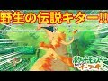 野生の伝説ポケモンきたー!!激レアなのかな!?【ポケモンLet'sGO!イーブイ】