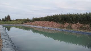 видео: 900 тонналык геомембранадан жасалган суу кампа. Сугат, малина, бассейн, капельное орош. Новопокровка картинка: 900 тонналык геомембранадан жасалган суу кампа. Сугат, малина, бассейн, капельное орош. Новопокровка